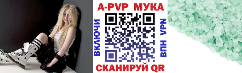 Купить закладки Циолковский А ПВП крисы CK