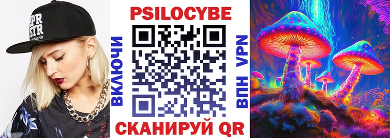 Купить закладки Циолковский Галлюциногенные грибы Cubensis
